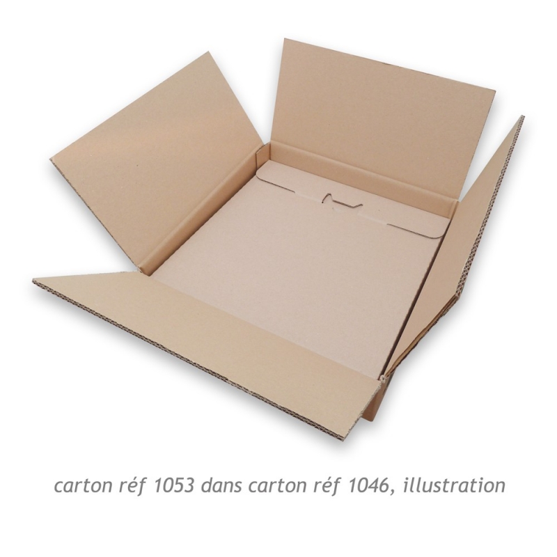 20 usato doppia parete scatole di cartone casa muoversi Rimozione imballaggio Storage 