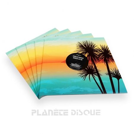 10 LP platenhoezen tropical met venster